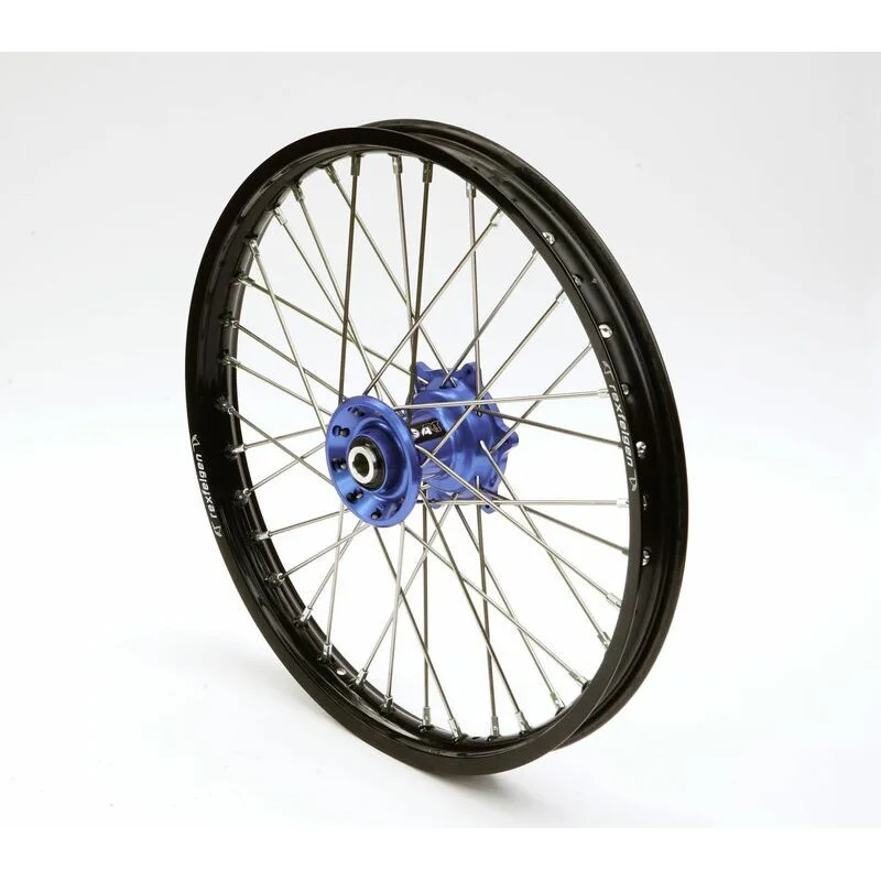 dr-rider-120260925020844290740