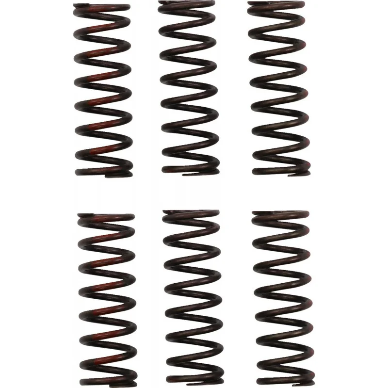 dr-rider-220260924200145207920