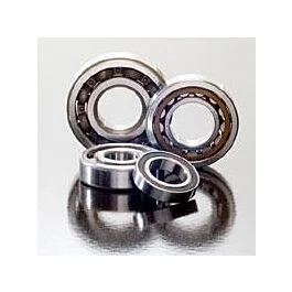 ksmotorcycles-320260925221553502452